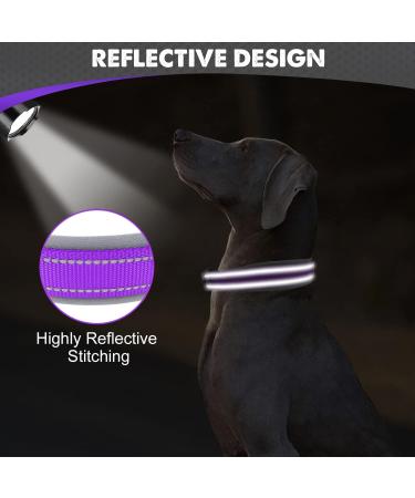 Joytale XL Dog Collar - Softly Padded Neoprene & Reflective Nylon for Extra Large Dogs - Purple 1 Pack - Buy Online on SooperMarket.com