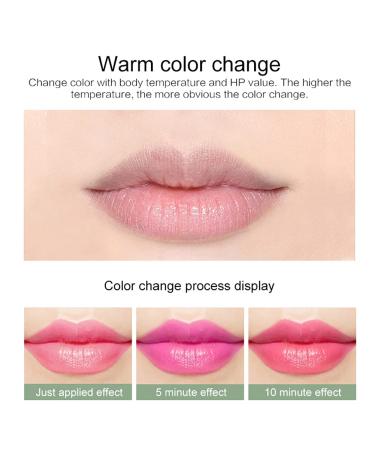 12PC Aloe Vera Lip Balm Set - Natural Color Changing Lipstick Moisturizing Gift for Girls - Buy Online on SooperMarket.com
