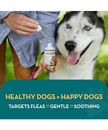The Healthy Dog Co Spot On Flea and Tick Treatment for Dogs 100ml - Buy Online on SooperMarket.com