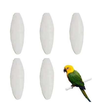 Small Cuttlefish Bone 5pcs Cuttlefish Bone Natural Cuttlefish Bone for Parrots Parrots Chew Toys Bird Cuttlebone Toys Parrot Chew Calcium Toy Chewing Cuttlefish Bone Pet Toy for Parrots Cage Birds