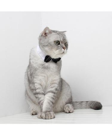 Buy SUNTRADE Adjustable Formal Pet Bow Tie for Dogs & Cats - Wedding Costume (Small Black) - International Shipping Available - Buy Online on SooperMarket.com