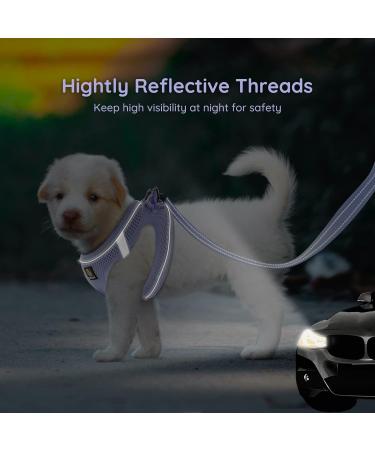 Bella & Pal Small Dog Harness with Leash - Air Mesh Reflective Breathable for Puppies & Cats - Lavender (S S 35-40cm) - Buy Online on SooperMarket.com