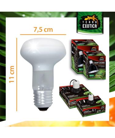 Terra Exotica 75W Heat Spot Bulb for Reptiles - 3 Pack Terrarium Lighting - Optimal Heat for Reptile Habitats - 25W 40W 60W 100W 150W Options Available - Buy Online on SooperMarket.com