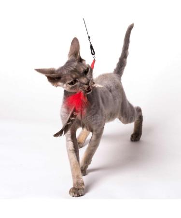 PurrSuit Feather Spinning Cat Toy LONG Safer Clip UK made 100cm Wand - Buy Online on SooperMarket.com