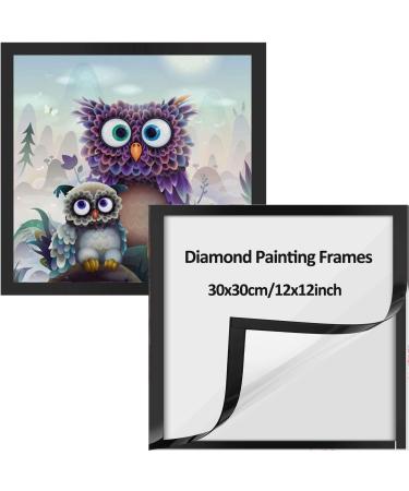 RICUVED 2 Pack Diamond Painting Frames Frames for Diamond Painting Pictures 30x30cm Canvas Size (Inner Size 24.5x24.5cm) Magnetic Frames Self-Adhesive Diamond Art Frames for Wall Window Door Black