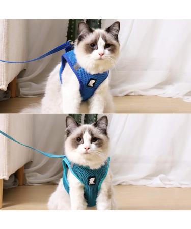 Buy Cat Dishes & Harness Set | Outdoor Leash & Bowls for Cats & Dogs - International Shipping - Buy Online on SooperMarket.com
