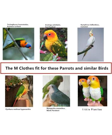 Kuso Reusable Washable Diapers for Parrots | Kimono Clothing for Budgies & Nymphensittiche - International Shipping - Buy Online on SooperMarket.com