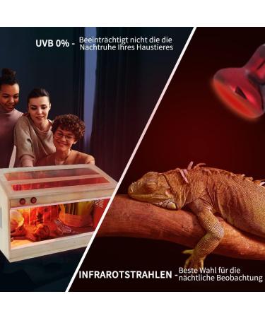 Buy Lucky Herp Reptiles Heat Lamp 100W 2-Pack | Infrared Red Light Terrarium Heating Lamp for Turtles Bearded Dragons Chickens & Dogs - Buy Online on SooperMarket.com