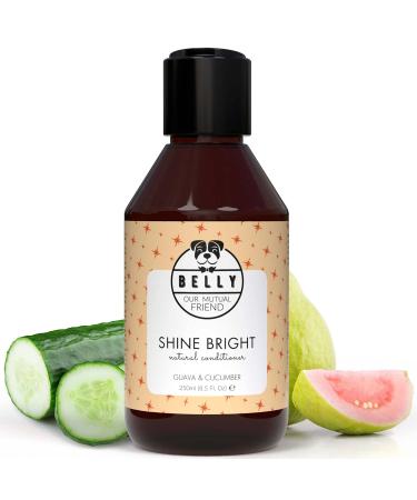 Belly - vegan dog shampoo Conditioner for dogs shampoo - 250ml - fur care dog conditioner as a dog shampoo against smell dog shampoo long hair Dog Shampoo & Puppy Shampoo Guava & Cucumber