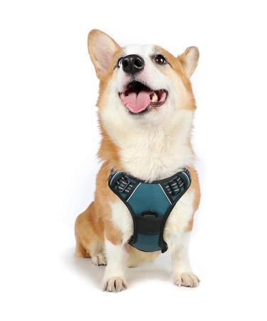 Rabbitgoo dog harness medium -sized dogs anti train crockery dog with control no pull dog dishes large dogs breathable reflex stripes breast harness dog safe guidance dark green m (1 Pack) dark green