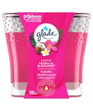 Glade Scented Candle Exotic Tropical Blossoms 1-Wick Candle Air Freshener Infused with Essential Oils for Home Fragrance 1 Count