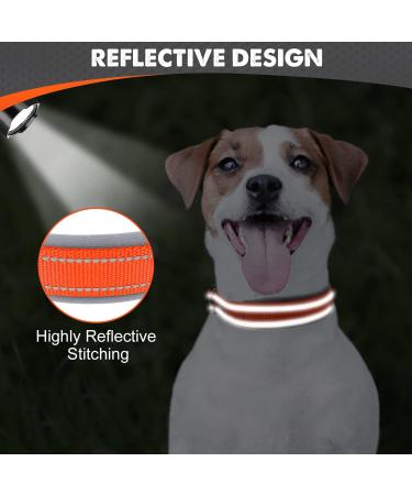 Joytale Softly Padded Neoprene Dog Collar for Small Dogs - Reflective Nylon Orange S (1 Pack) | Best International Shipping - Buy Online on SooperMarket.com