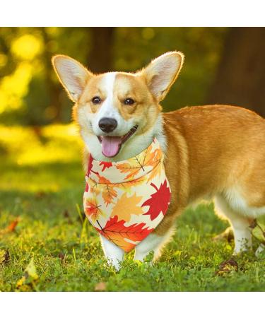 3Pcs Halloween Dog Bandanas Thanksgiving Pet Triangle Bibs Fall Pumpkin Maple Leaf Printed Dog Kerchief Adjustable Washable Scarfs Accessories for Small Medium Large Girl Boy Dogs Puppies Cats Pets - Buy Online on SooperMarket.com