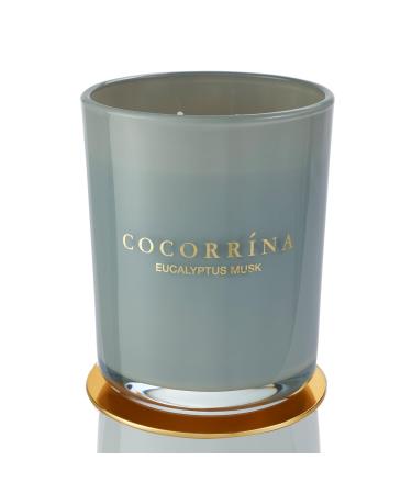 Cocorr na Candle fragrance candle in glass - eucalyptus musk burning time up to 46 hours with 2 wicks natural soy candle Christmas gift candle 420g eucalyptus musk 420g