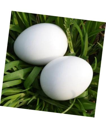 BCOATH 60 Pcs Water Injection Fake Pigeon Eggs White Fake Eggs Parrot Eggs Compact Eggs Breeding Props Craft Eggs for Painting Artificial Eggs Toy Eggs Supplies Meat Pigeon Plastic Whitex2pcs 2.9X4.1CMx2pcs - Buy Online on SooperMarket.com