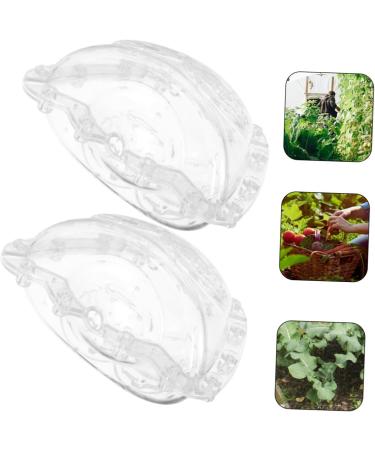SUPVOX Cucumber Shaping Mold 2pcs Fruit Mold Accessories Growing Shaping Pear Ingot Ingot-Shaped Vegetable Molds Garden Yard - Buy Online on SooperMarket.com