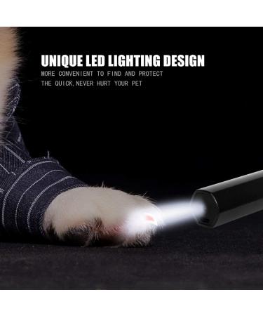 Bisnuy Professional 2-Speed Electric Dog Nail Grinder for Painless Grooming - Rechargeable Pet Nail Trimmer for Dogs & Cats - Buy Online on SooperMarket.com