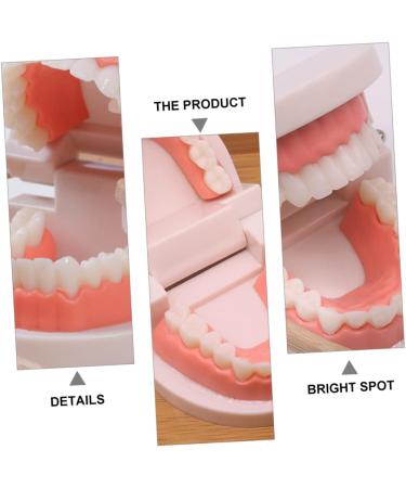 Shop Minkissy 3 Sets Early Education Tooth Toys for Toddlers - Montessori Standard Reusable Kids' Dental Learning Toys - Buy Online on SooperMarket.com