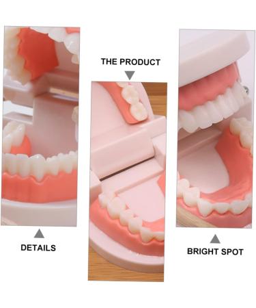 Minkissy Educational Tooth Brushing Toy Set - Early Learning Teeth Model for Kids | Reusable Pedagogical Teaching Tools - Buy Online on SooperMarket.com