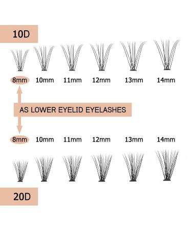 Lash Bond and Seal - All Day Wear Lash Glue + 240 PCS DIY 10D/20D Cluster Lashes - C Curl 8-16mm - Buy Online on SooperMarket.com