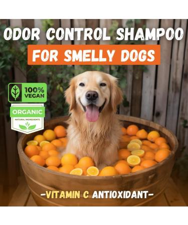 Kelebs Sensitive Dog Shampoo - Vegan Citrus Soap for Puppies | Lavender & Oatmeal | 3 Pack | Natural Dog Care - Buy Online on SooperMarket.com