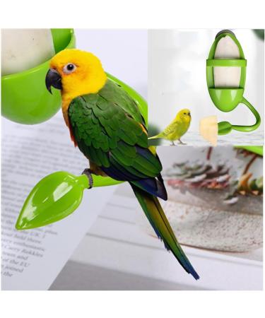 Cuttlebone Holder for Birds - 3 Pcs Parrot Stand with Plastic Cuddle & Bone Sticks - Ideal for Parrots Parakeets & Finches (Green) - International Shipping - Buy Online on SooperMarket.com