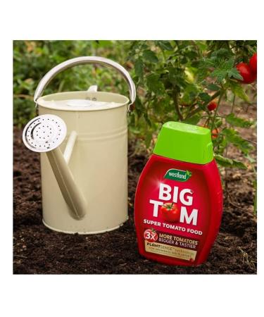 Westland Tomato Food 1Litre- For Juicy Best Tasty Tomatoes - Buy Online on SooperMarket.com