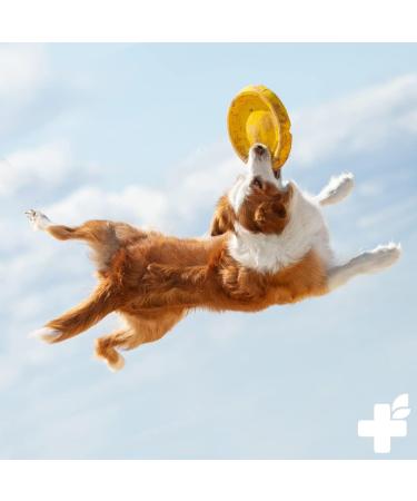 Reavet Heilmoor for Dogs 500g - Natural Healing Earth Optimizes Digestion & Immune System - Buy Online on SooperMarket.com