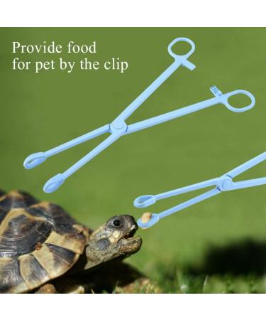 Reptile Feeding Clip Blue Plastic Durable Useful Pet Clip for Snake Lizard Reptile Animal Food 7.48in - Buy Online on SooperMarket.com
