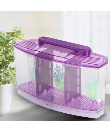Aquarium Fish Tank Transparent Aquarium Fish Tank LED Acrylic Three Divisions Breeding Isolation Box for Small Fishes Mini Breeding Fish Tank (Purple) - Buy Online on SooperMarket.com