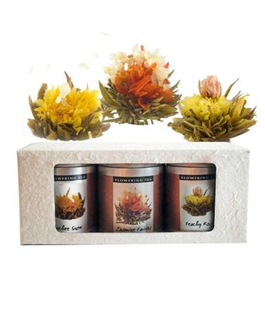 The Exotic Teapot - Flowering Tea Selection Box 3 Sampler Tins of Blooming Tea Jasmine Flower Tea Balls
