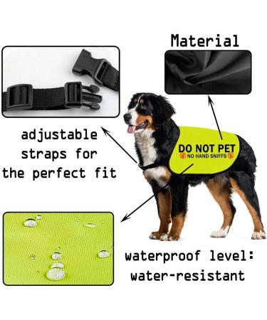 Do Not Pet No Hand Sniffs Dog Jacket Vest Nervous Anxious Dog Slogan Warning Vest (NO HAND SNIFFS Medium) NO HAND SNIFFS M EU - Buy Online on SooperMarket.com