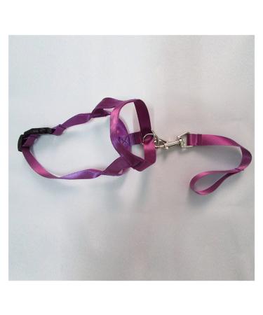Universal Selected Harness Adjustable Muzzle Dog Halter Leader Belt Dog Collar Head Collar No Pull Bite Straps Training Leash Leader (Color : Purple Size : XL)