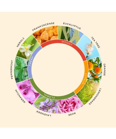Jurlique GERANIUM PURE Essential Oil 10ML - Premium Aromatherapy Oil for Relaxation & Wellness - International Shipping Available - Buy Online on SooperMarket.com