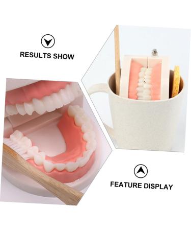 Frcolor Early Dental Education Role-Playing Toys | Wooden Puzzle for Kids & Toddlers - Learn to Brush Teeth Fun! - Buy Online on SooperMarket.com