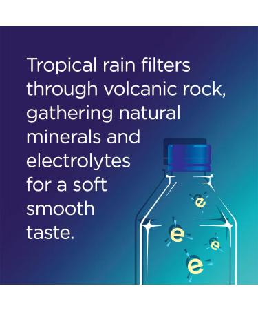 FIJI Natural Artesian Water 16.9 Fl Oz - Refreshing Hydration in a Single Bottle - Buy Online on SooperMarket.com