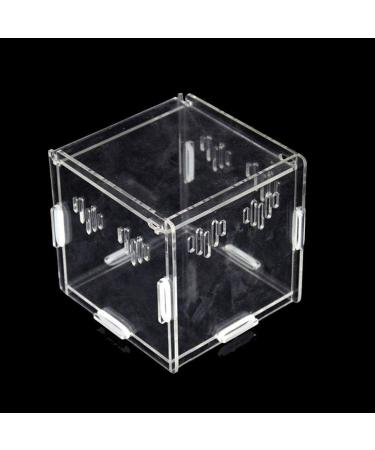 OMEM Transparent Acrylic Pet Reptile Combination Breeding Box - Ideal for Spiders, Scorpions, Snakes - Durable & Spacious - Buy Online on SooperMarket.com