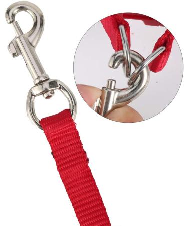 Felenny Bird Dishes & Leash - Adjustable Outdoor Accessories for Scarlet Macaw Sun Conure and Nymphensittich - Anti-Bite Protection (Large Red) - Buy Online on SooperMarket.com