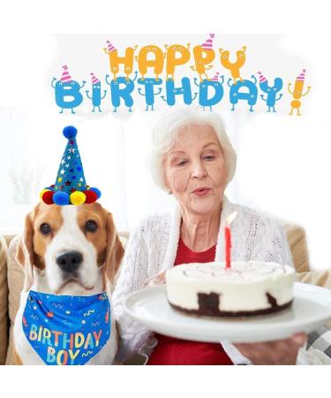 Blue Dog Birthday Boy Bandana for Small to Large Dogs - Puppy Party Scarf - Buy Online on SooperMarket.com