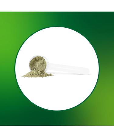 Progressive Vegegreens Blueberry Medley Flavour 265 g Anti-Inflammatory plus Liver & Digestion Support Blueberry Medley 265 g - Buy Online on SooperMarket.com