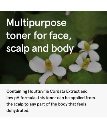 ONE THING Houttuynia Cordata Extract Facial Toner - Vegan Soothing Hydration for Oily Acne Prone Skin - Korean Skin Care - 5.07 fl. oz - Buy Online on SooperMarket.com