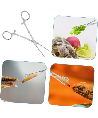 Kisangel Reptile Feeding Clip Terrarium Supplies Snake Tank Accessories Stainless Steel Silver - Buy Online on SooperMarket.com