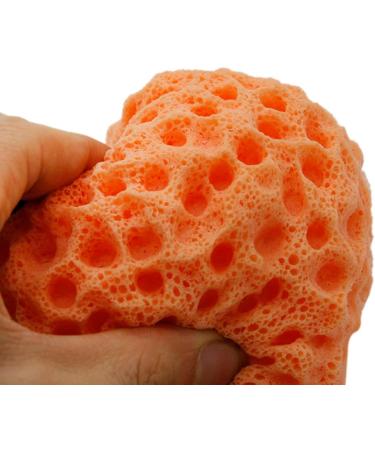 Cabilock Face Exfoliator Sponge Body Cleansing Sponge Exfoliating Bath Sponge Remover Dead Skin Facial Exfoliator Sponge Loofah Sponge Fruit Bath Sponge Bath Shower Dish Spa Miss Body Brush - Buy Online on SooperMarket.com