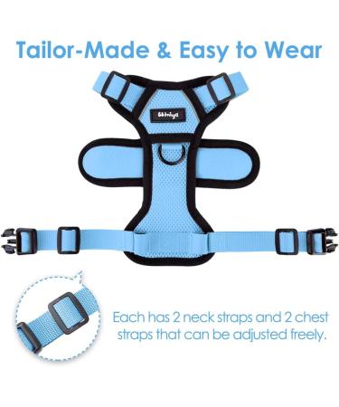 Breakproof Cat Dishes & Adjustable Soft Kitten Vest Set - Light Blue XS | Reflective Stripes for Safety - Buy Online on SooperMarket.com
