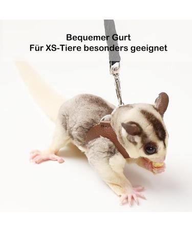 3 Pack Sugar Glider Harness and Lead Set Small Animal Training Walking Vest for Squirrel Hamster Rat (Brown) - Buy Online on SooperMarket.com