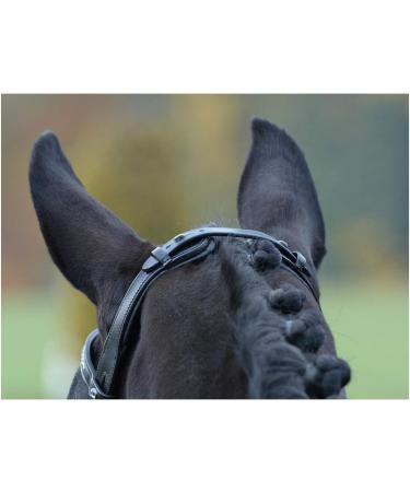 Buy Busse Bridle Emotion Black/Crystal for Ponies - Premium Quality & International Shipping - Buy Online on SooperMarket.com