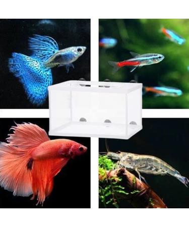 BRYHZKCM 2pcs Fish Hatchery Breeder Box - Large 10x6x6 Nylon Mesh Separation Net with Suction Cup - Buy Online on SooperMarket.com