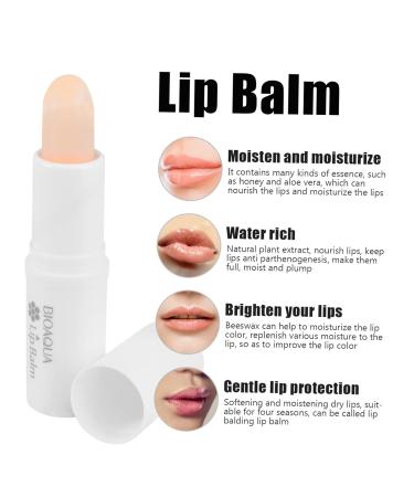 NOLITOY Fake Teeth Lip Care Stick - 3pcs Cosmetic Display Stand | Buy Now for Perfect Lips - Buy Online on SooperMarket.com