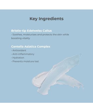 RE:P Nutrinature Calming Cica Cream - 100% Vegan Cruelty-Free & Paraben Free | Hydrating & Soothing Korean Skin Care with Centella Asiatica & Aloe Vera | 1.01 Fl Oz - Buy Online on SooperMarket.com