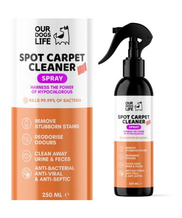 Carpet Cleaner Spray - Carpet Stain Remover Carpet Deodorizer | Carpet Stain Remover for Old Stains with Pro-Bacteria Cleaning Power 250ml